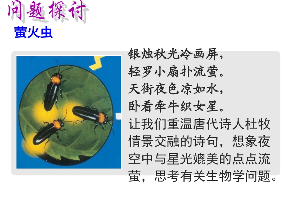 第一节细胞中的能源物质_第2页