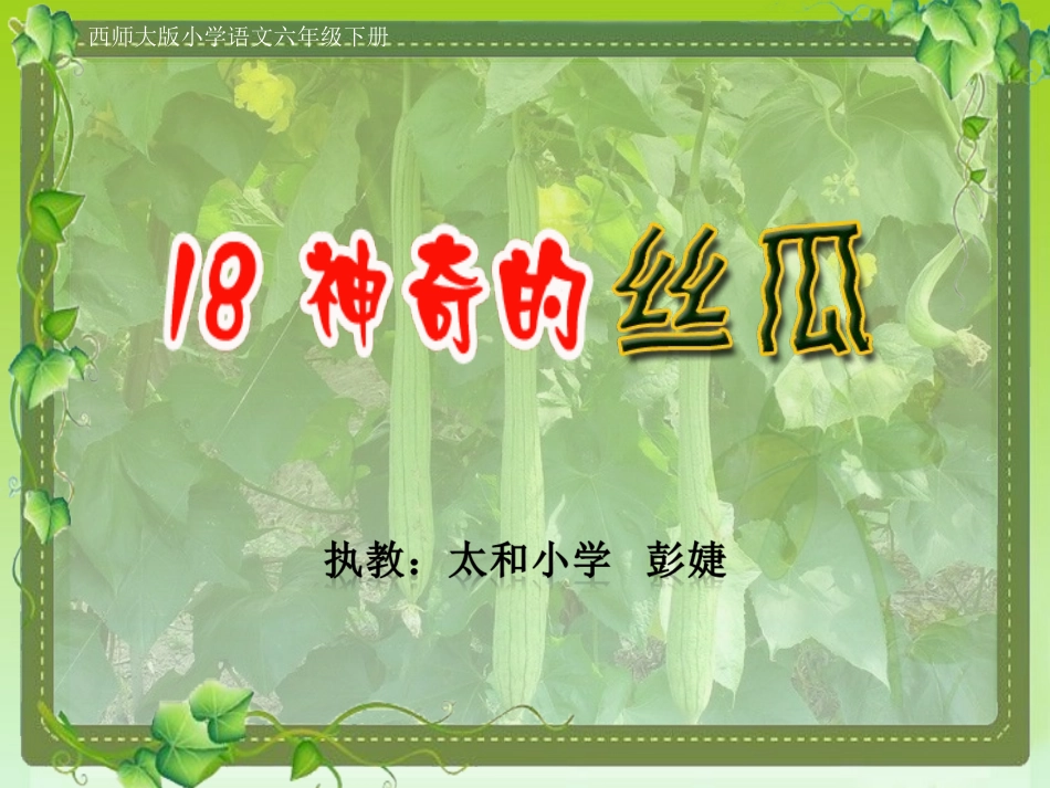 18神奇的丝瓜_第2页