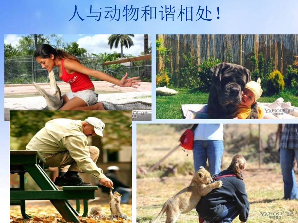 与地球和谐相处_第3页