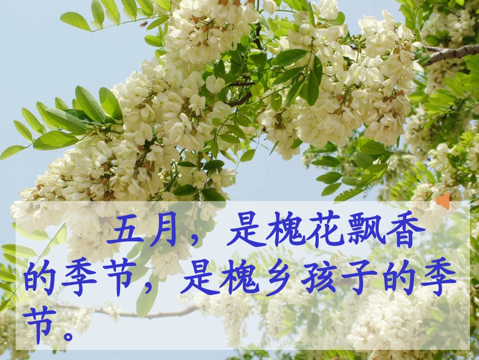 21槐乡五月_第2页