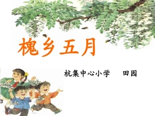 21槐乡五月