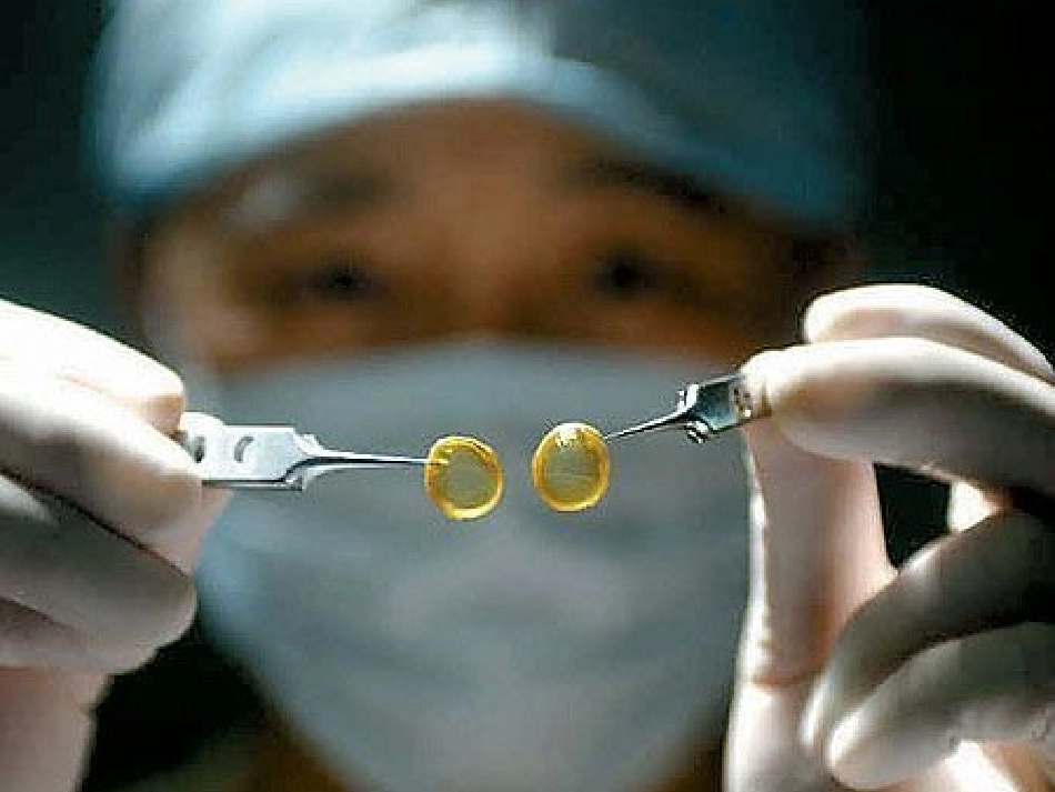 永生的眼睛课件_第2页