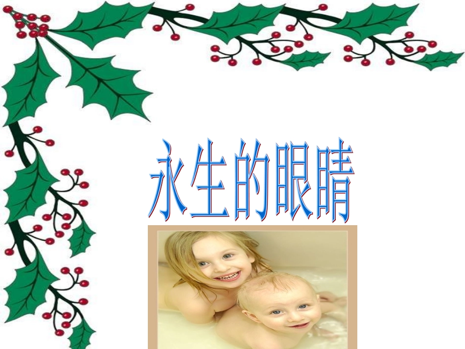 永生的眼睛课件_第3页