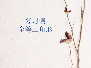 复习全等三角形