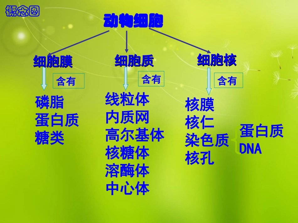 高中生物《第四章-第一节-物质跨膜运输的实例》课件-新人教版必修1_第1页