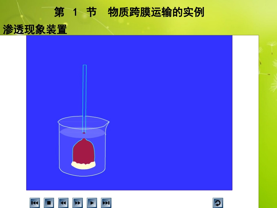 高中生物《第四章-第一节-物质跨膜运输的实例》课件-新人教版必修1_第2页