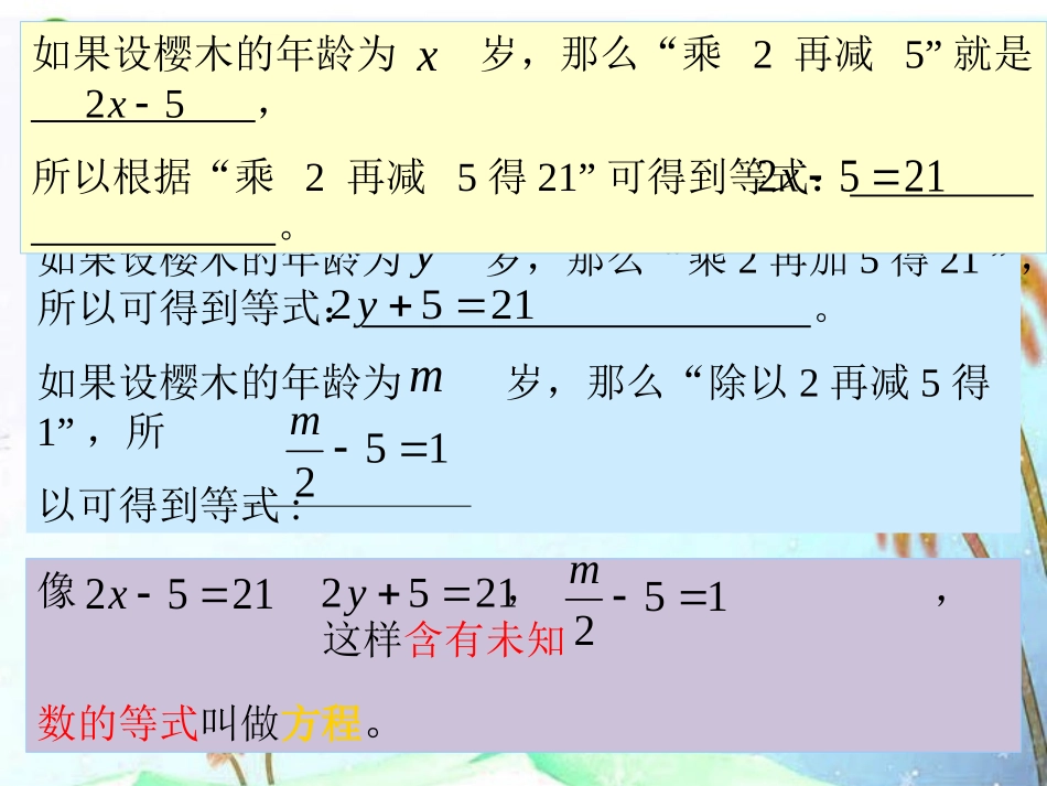 六年级数学上册-5.1-等式与方程课件-鲁教版五四制_第3页