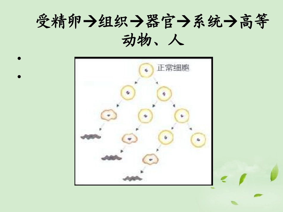 天津2012高中生物复习-第2节-细胞的分化1新人教版必修1课件-新人教版必修1_第2页