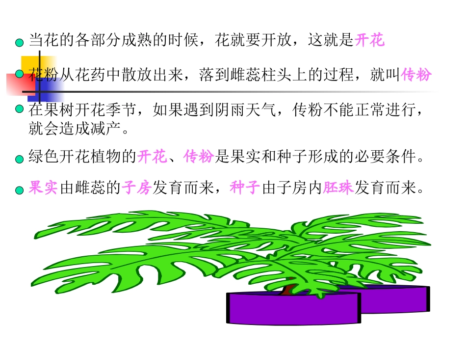 青岛版小学科学五年级下册《果实是怎样形成的》课件-_第2页