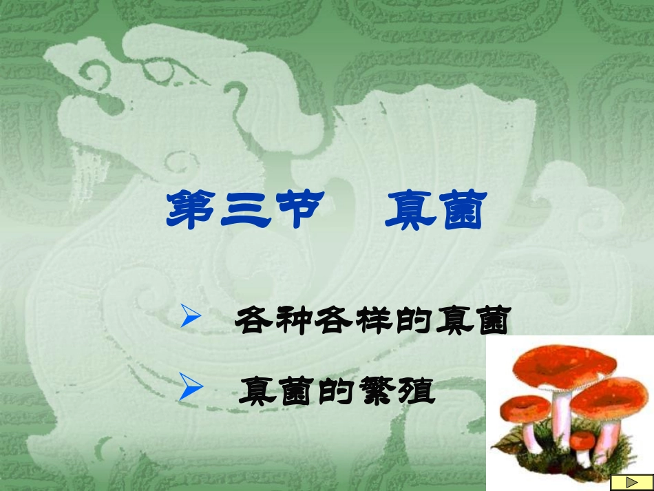 第三节真菌1(1)_第1页