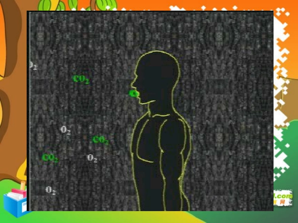 七年级生物下册：第四单元第三章第一节呼吸道对空气的处理4课件-人教版_第2页