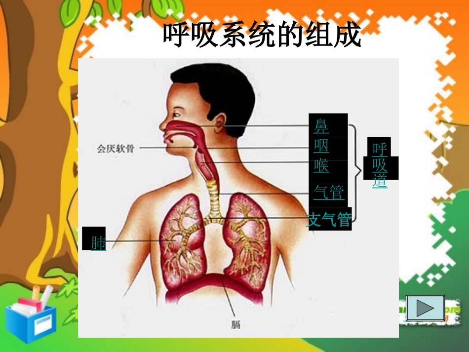 七年级生物下册：第四单元第三章第一节呼吸道对空气的处理4课件-人教版_第3页