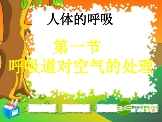 七年级生物下册：第四单元第三章第一节呼吸道对空气的处理4课件-人教版