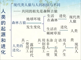人类的起源和进化小结