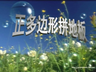 用正多边形拼地板