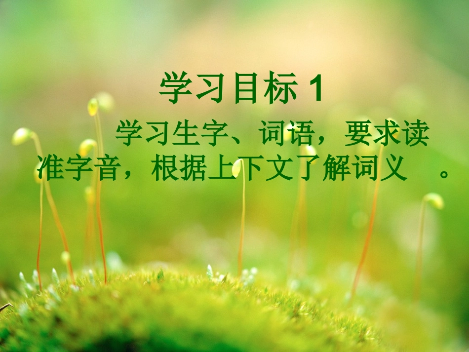 草虫的村落PPT_第3页