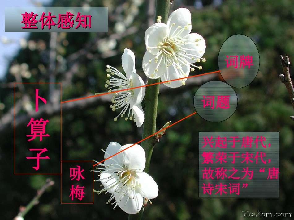 七年级语文下册-第五单元《毛泽东诗词二首》课件-北师大版_第3页