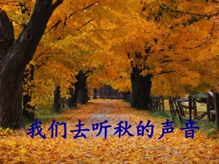 《我们去听秋的声音》课件