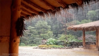 (部编)初中语文人教2011课标版七年级上册雨的四季-(8)