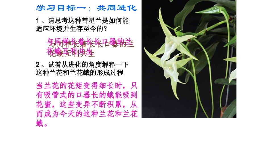 三-共同进化与生物多样性的形成_第3页