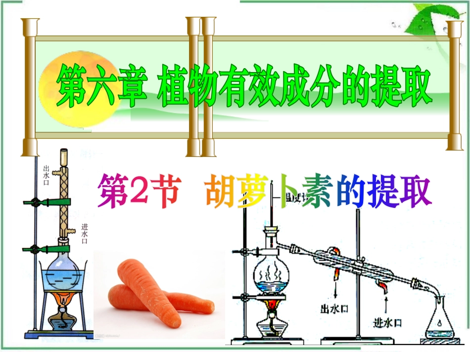 3-植物的光合作用_第1页