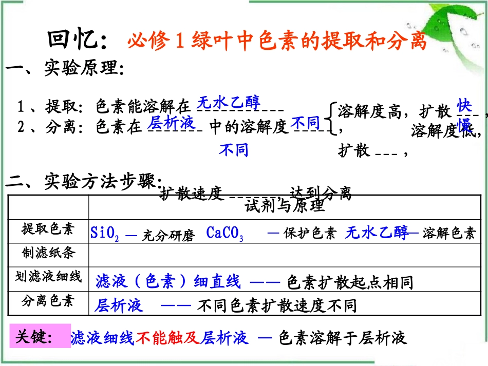 3-植物的光合作用_第2页