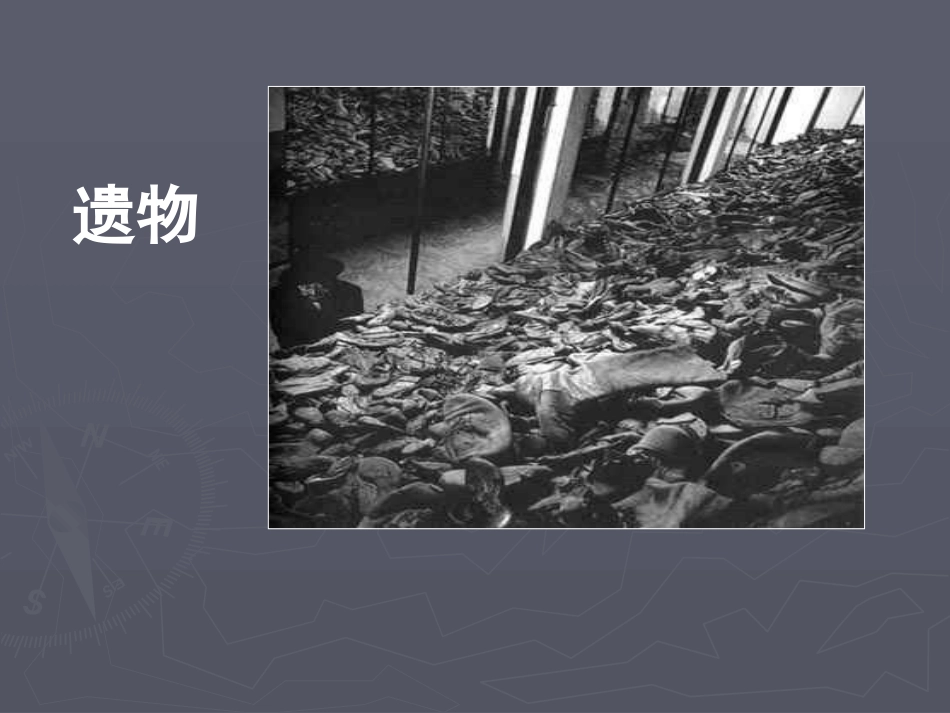 《奥斯维辛没有什么新闻》课件1_第2页