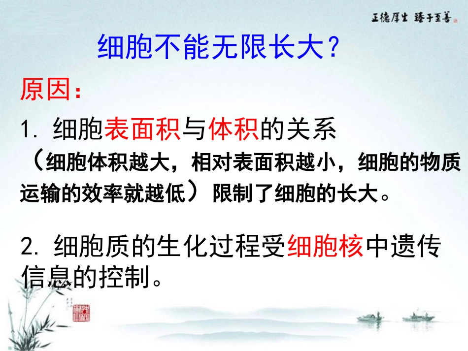 高中生物《第六章-细胞的生命历程-第1节-细胞的增殖》课件-新人教版必修1_第3页