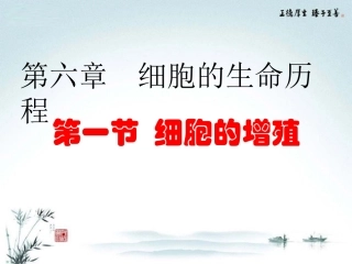 高中生物《第六章-细胞的生命历程-第1节-细胞的增殖》课件-新人教版必修1