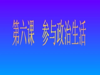 参与政治生活2