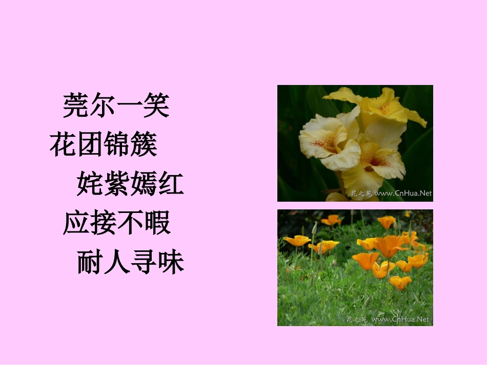 25自己的花是让别人看的_第3页