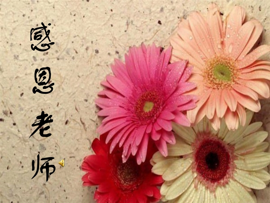 感恩老师班会PPT_第1页