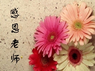 感恩老师班会PPT