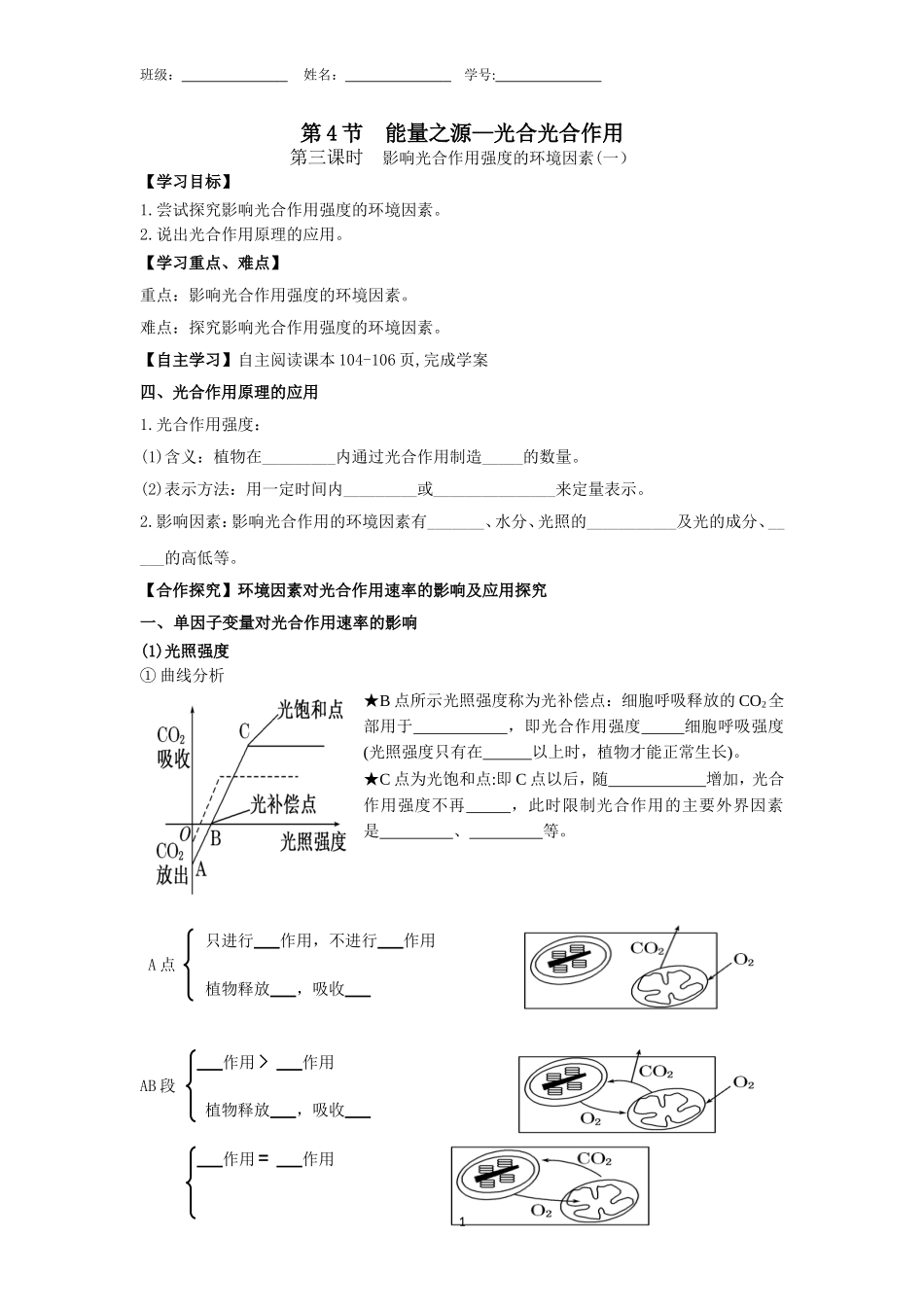 第四节--能量之源—光与光合作用--第三课时_第1页