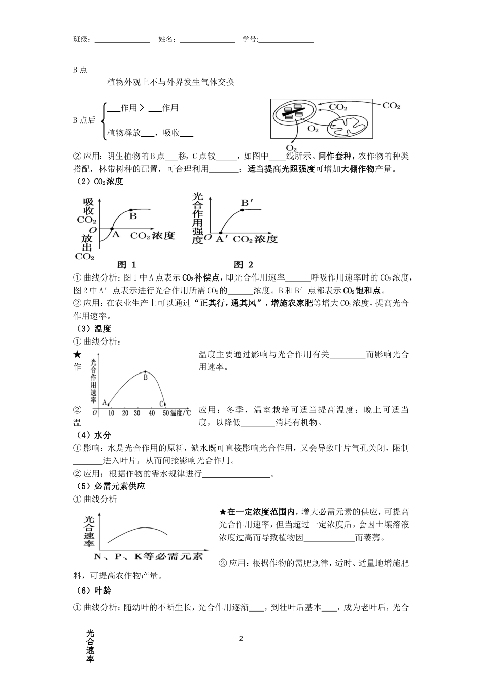 第四节--能量之源—光与光合作用--第三课时_第2页