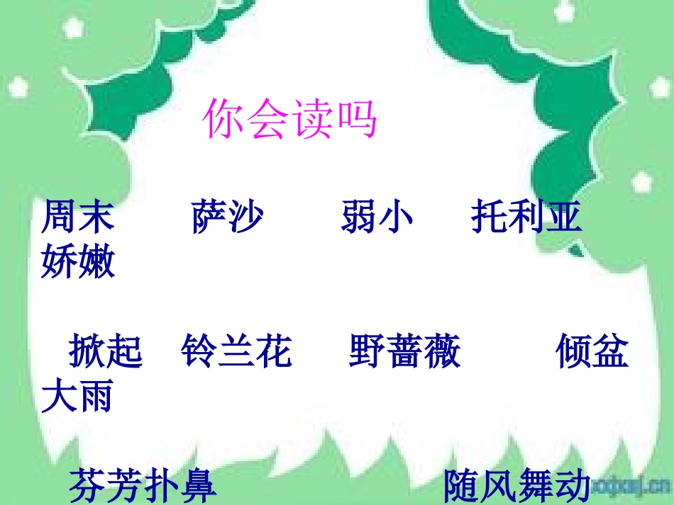 1100我不是最弱小的_第3页