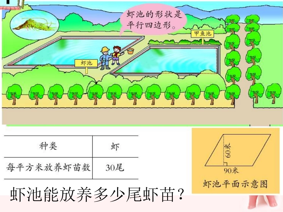 五年级数学上册-平行四边形的面积-3课件-青岛版_第3页