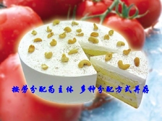 按劳分配为主体-多种分配方式并存