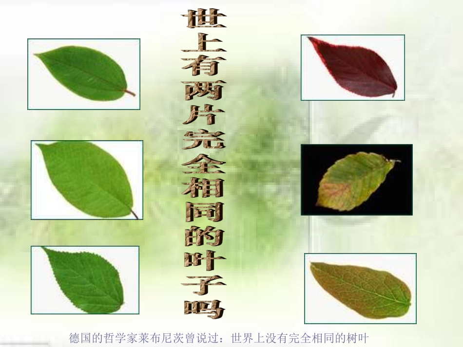 3.2第三课第二框生命因独特而绚丽(共28张PPT)_第2页