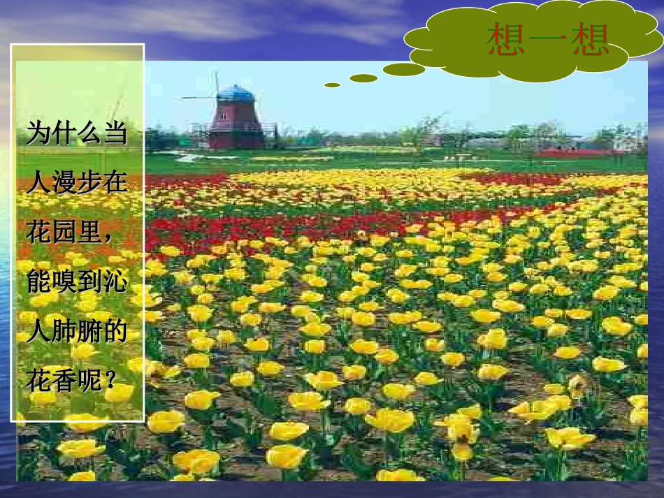 分子和原子(一)_第3页