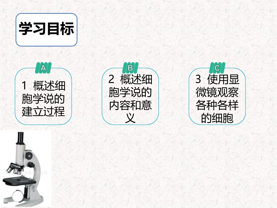 生物科学研究的重要工具——显微镜-(4)_第2页