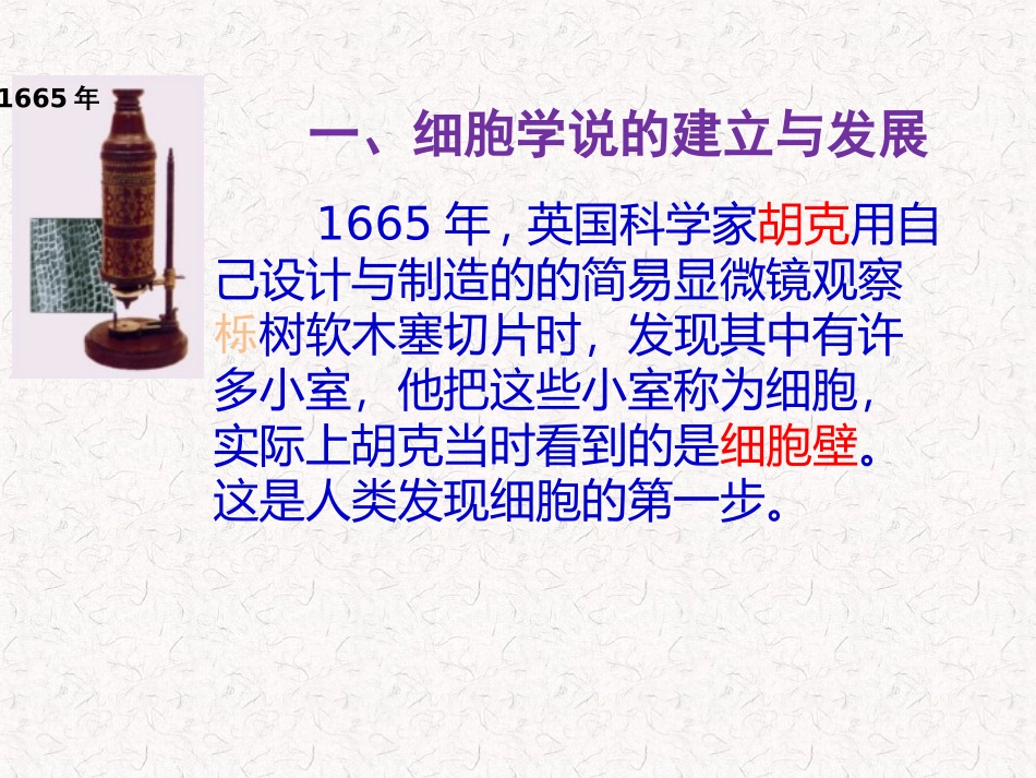 生物科学研究的重要工具——显微镜-(4)_第3页