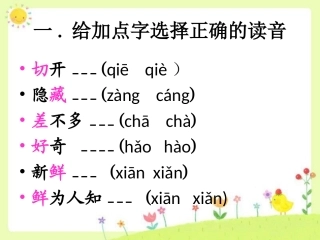 《苹果里的星星》课堂巩固