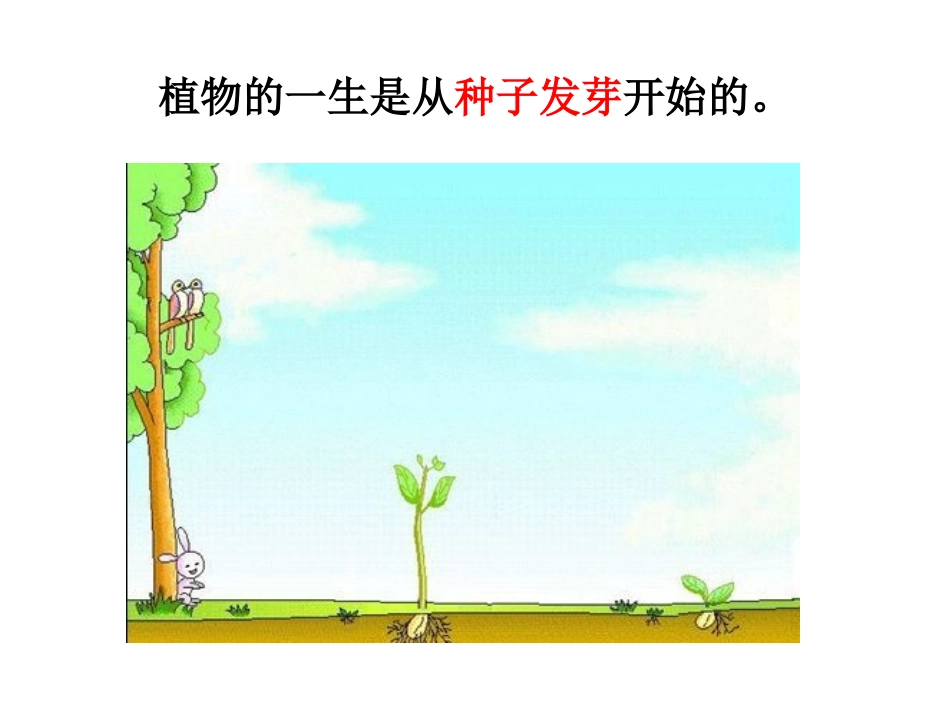 种子发芽实验(一)_第2页