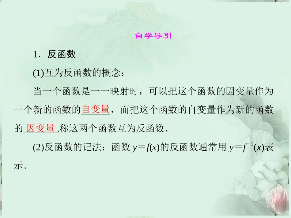 (新课程)高中数学-《3.2.3指数函数与对数函数的关系》课件-新人教B版必修1_第2页