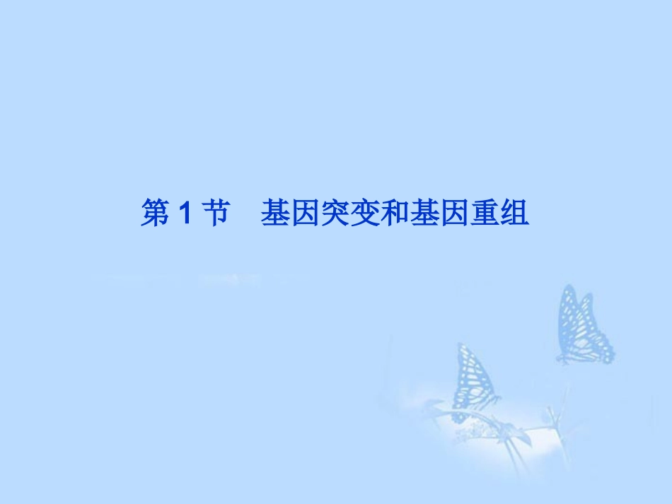 2013届高考生物一轮复习-第五章第1节-基因突变和基因重组课件-新人教版必修2_第2页