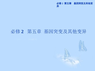 2013届高考生物一轮复习-第五章第1节-基因突变和基因重组课件-新人教版必修2