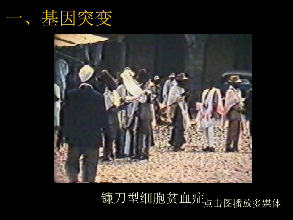 5.1《基因突变和基因重组》课件-陈丽青_第3页