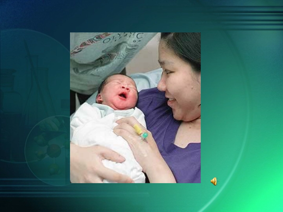 呼吸道对空气的处理_第2页