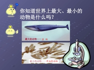 9.3单细胞的生物体